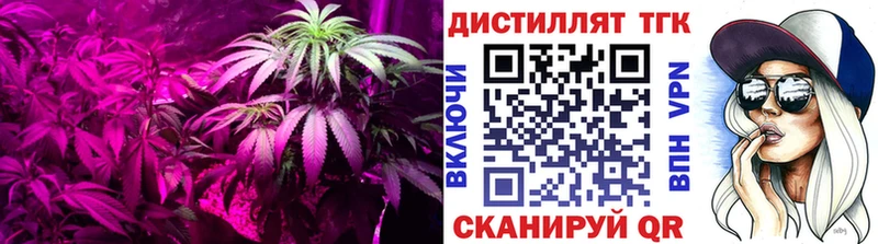 Дистиллят ТГК вейп с тгк Купить Раменское